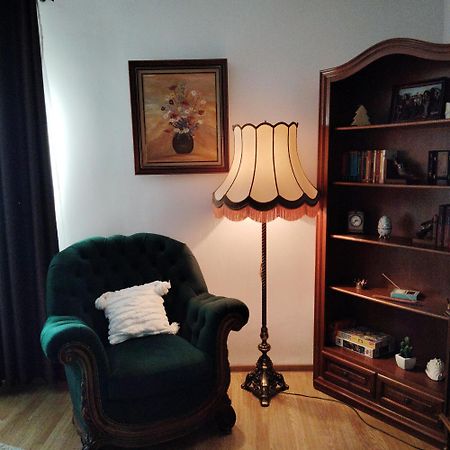 Vintage Central Apartament Тиргу-Жіу Екстер'єр фото