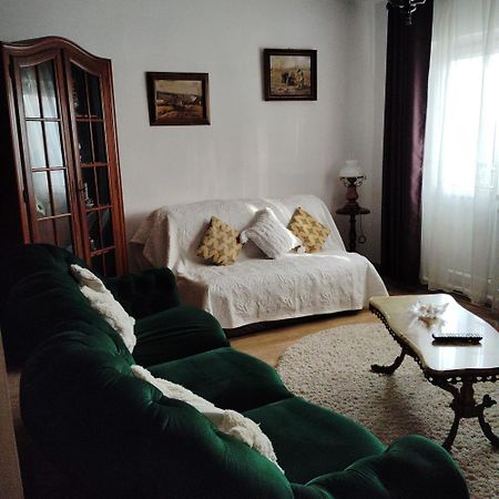 Vintage Central Apartament Тиргу-Жіу Екстер'єр фото