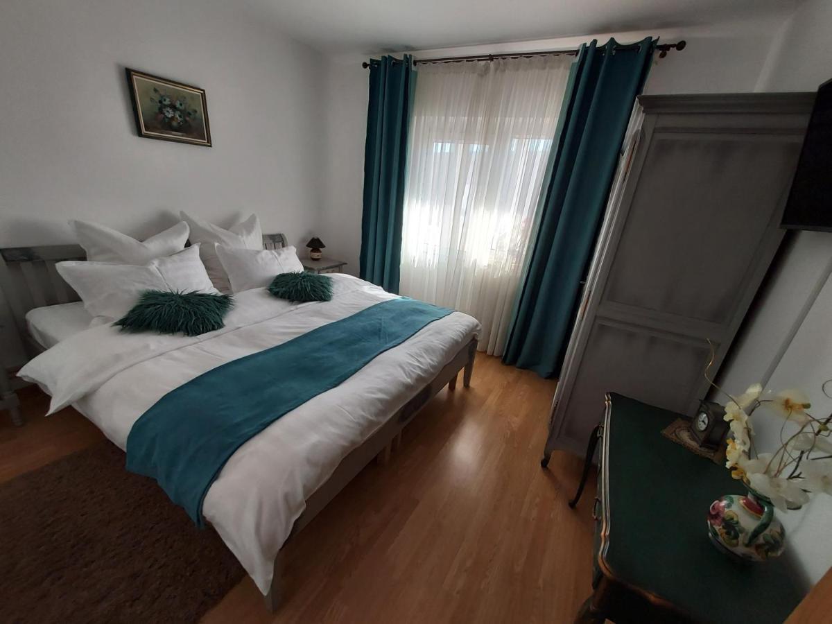 Vintage Central Apartament Тиргу-Жіу Екстер'єр фото
