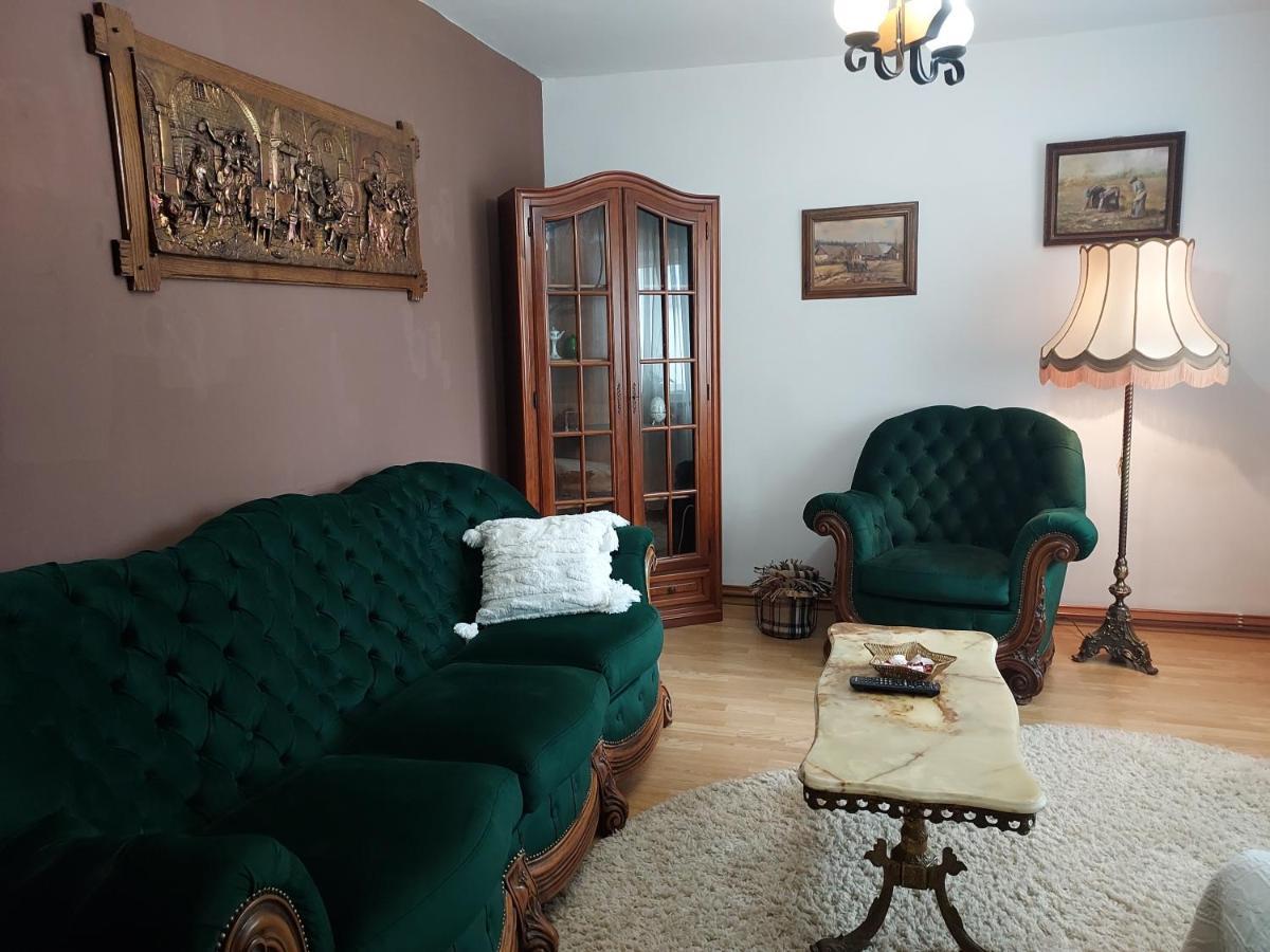 Vintage Central Apartament Тиргу-Жіу Екстер'єр фото
