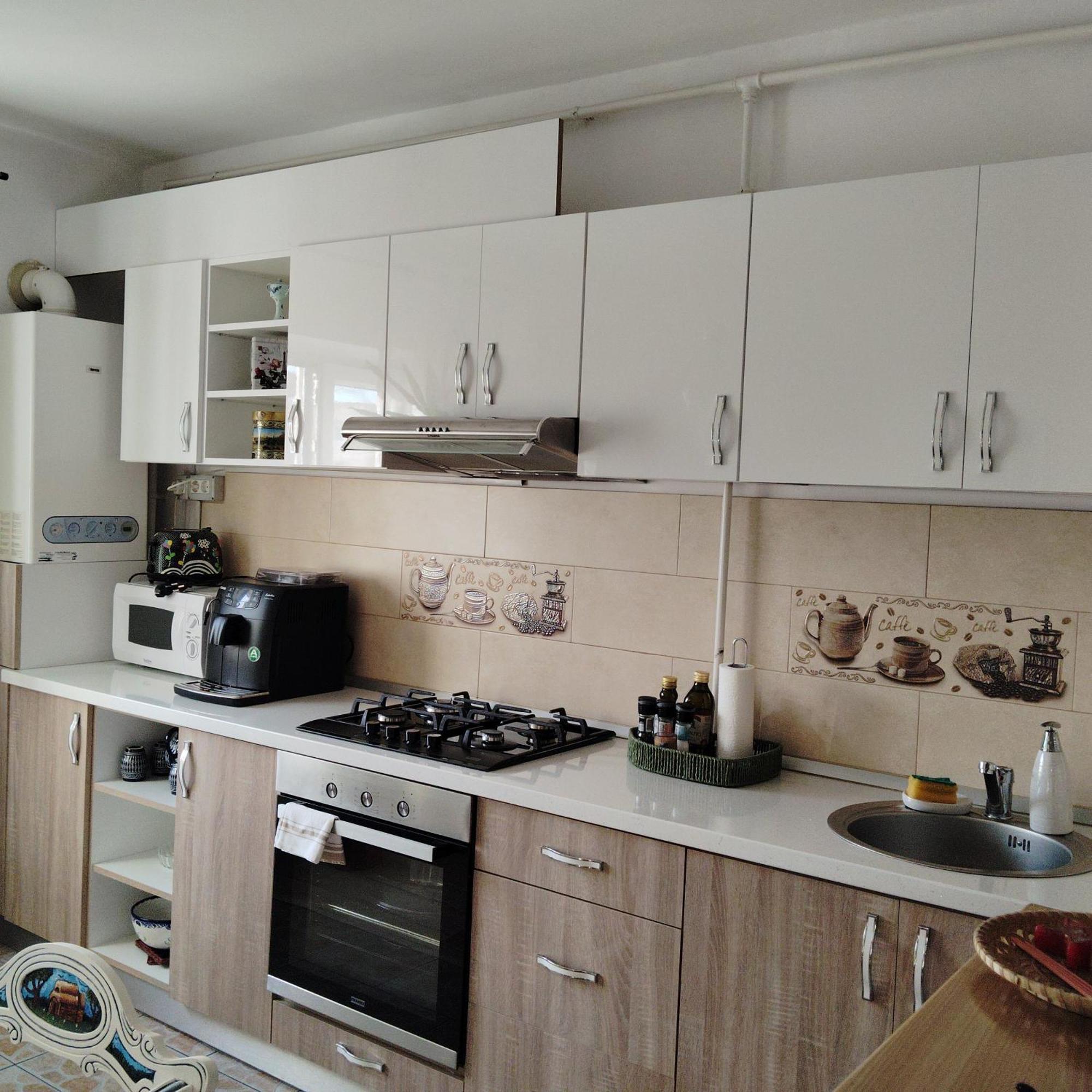 Vintage Central Apartament Тиргу-Жіу Екстер'єр фото