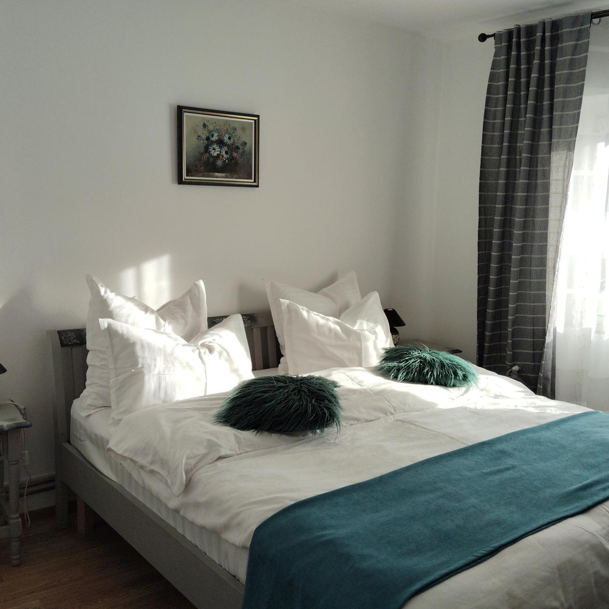 Vintage Central Apartament Тиргу-Жіу Екстер'єр фото