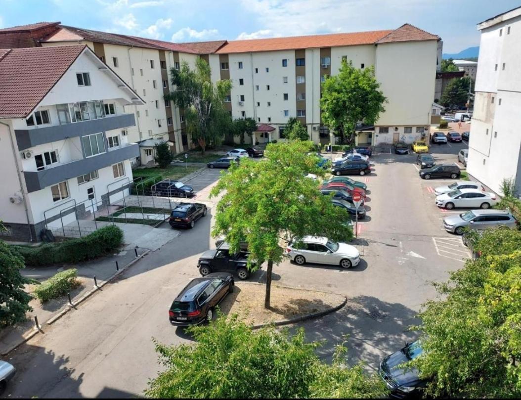 Vintage Central Apartament Тиргу-Жіу Екстер'єр фото